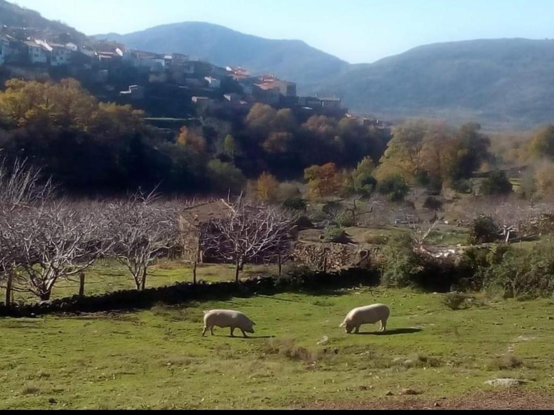 El Nido, Casa Rural Casas del Castañar Zewnętrze zdjęcie