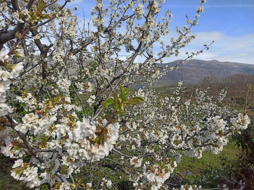 El Nido, Casa Rural Casas del Castañar Zewnętrze zdjęcie